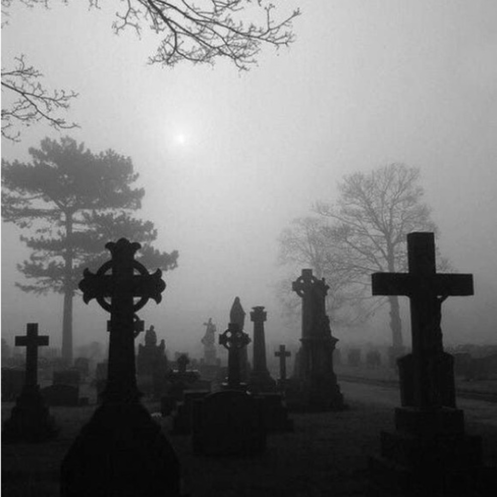 Meet your Posher, Izabela